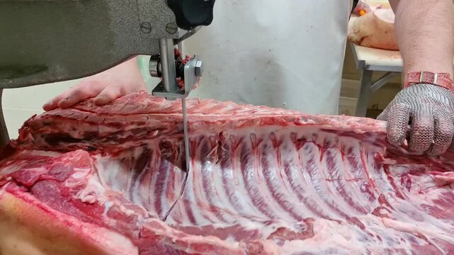 Butcher in white apron uses band saw to cut through large pork carcass on stainless steel table in a meat processing facility with visible tools and equipment