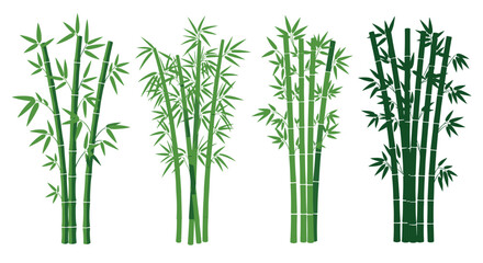 Fototapeta premium Natural collection of various bamboo plant stalks and green leaves in different shades of growth against a white background.