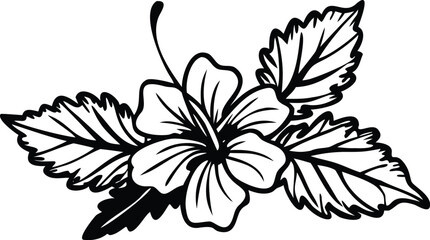 Hibiscus flower with tropical leaves vector illustration for exotic botanical floral garden design. © Gfx Foysal