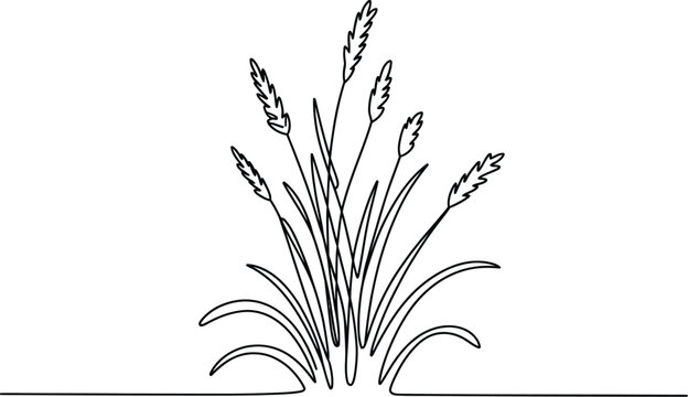 Continuous line wheat plant vector illustration featuring cereal grass stalks in minimal single stroke style for agriculture nature design concept