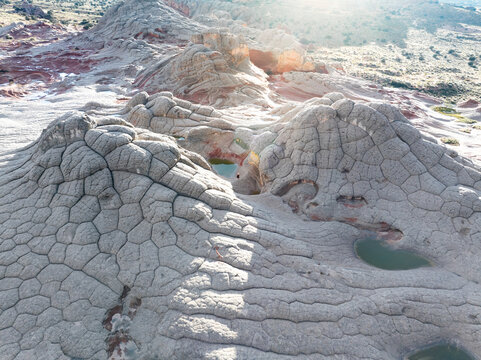 Aerial view of the unique brain-like sandstone formations of White Pocket with small water pools under bright sunlight in Coconino County, Arizona, United States.