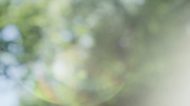 キラキラ光る丸ボケと風に揺れる新緑が美しい初夏の爽やかな自然風景　日本の季節の風景・背景　森の清々しい風と日差し