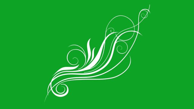 White floral vine flourish animation growing on green screen background backdrop