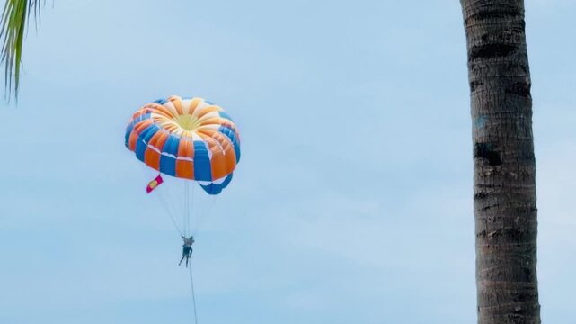 Parasailing activity over the sea at Patong beach on Phuket island, Thailand. Colorful parachute flying in sky near palm branch, exciting summer vacation attraction and extreme sport concept.