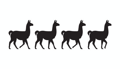black and white silhouette set of llama very high quality vector illustration. © dinesh