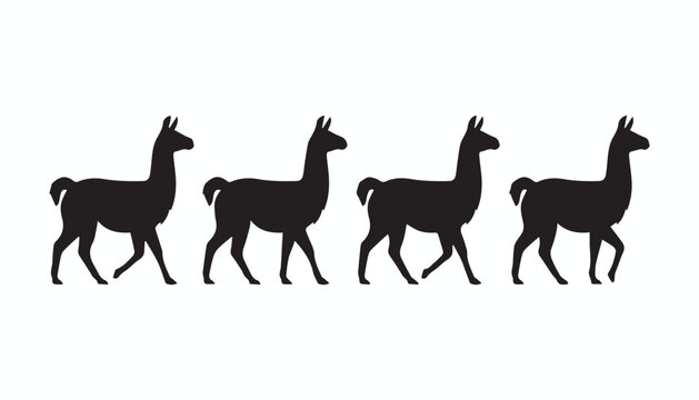black and white silhouette set of llama very high quality vector illustration.