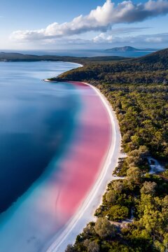 Pink lake hillier creating striking natural contrast