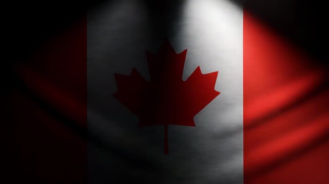 Canadian flag with a red maple leaf symbol on a white background