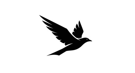 Obraz premium Silhouette of a bird in flight, wings spread, against a white background