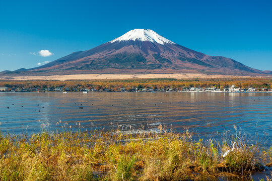 Yamanakako Lake and Mount Fuji, Japan