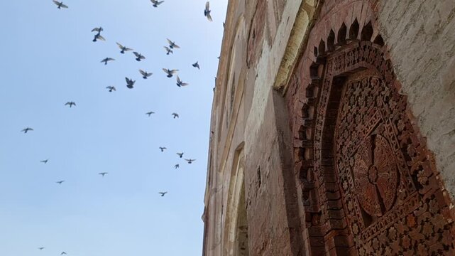 Slow Motion Video of Pigeons Flying at  Ancient Kabuli Bagh Masjid in Panipat India