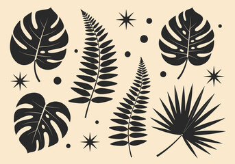 Minimalist Tropical Leaf Silhouettes Set, Monstera, Fern, and Palm Frond Botanical Vector Illustrations in Boho Style © Leo
