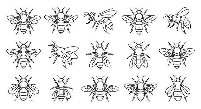 Collection of linear bee illustrations in various poses silhouette