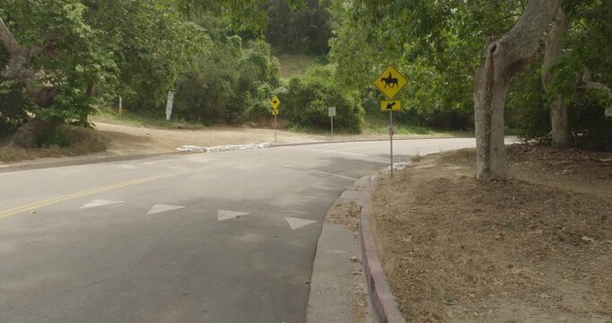 Crisp daytime 4K 10-bit DSLR footage captured in Griffith Park featuring a horse crossing sign along Griffith Park Drive.
