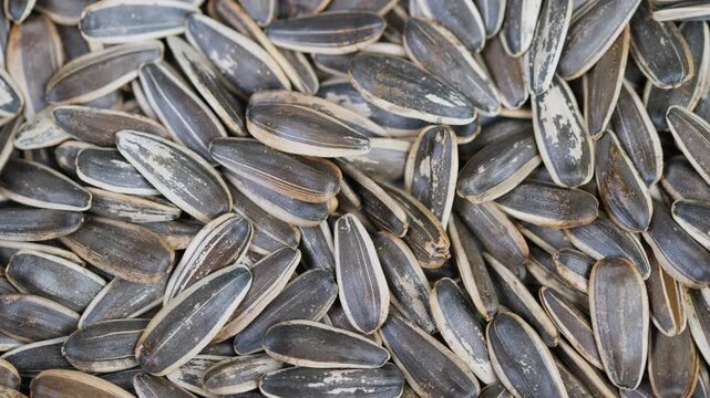 Rustic pantry snack featuring crunchy striped shells and earthy tones. Detailed macro shot showcasing roasted sunflower seeds with salty and striped shells in rustic setting