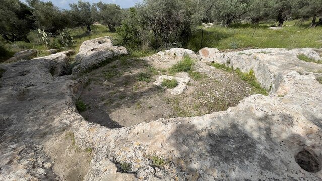 Ancient limestone rock with natural carved hollows and wild vegetation in Ben Shemen forest israel, mediterranean archaeology and nature concept
