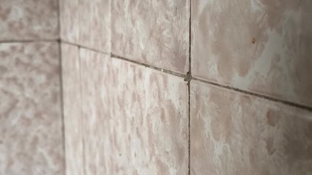 Mold on the seams between the tiles close-up. High humidity in the bathroom, house. Black seams on tiles