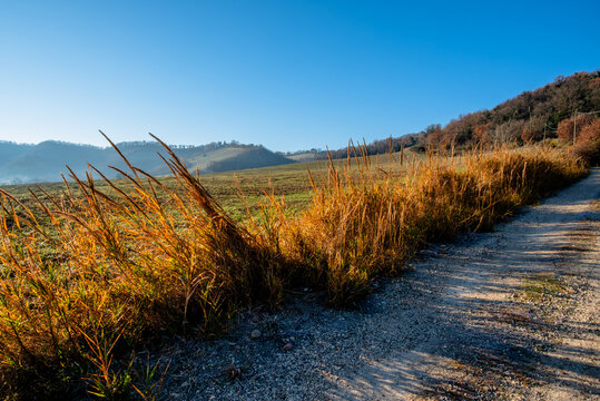 Gravel path with tall grass and hills in Italy