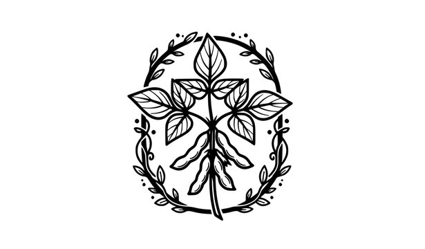Soybean plant badge vector black and white botanical illustration with leaves and pods