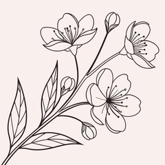 Obraz premium Elegant Floral Line Art with Pastel Background Vector Design