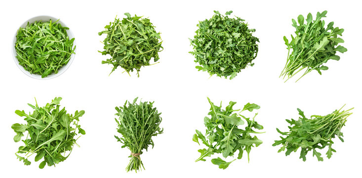 Collection of Arugula incorporated into a dish, often as a topping for pizza, mixed into pasta, or added to salads. full length isolate on transparent background