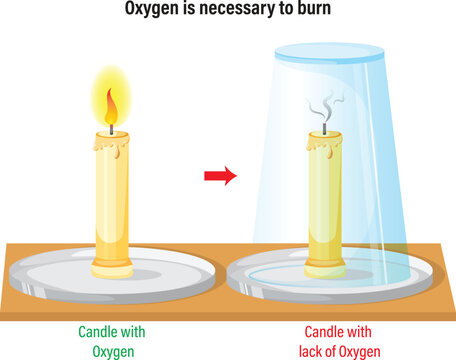 Oxygen needs to burn fire
