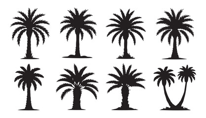 Silhouette set of date palm tree vector tropical plant icon minimal black nature design illustration © HAPIXEL