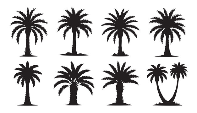Silhouette set of date palm tree vector tropical plant icon minimal black nature design illustration