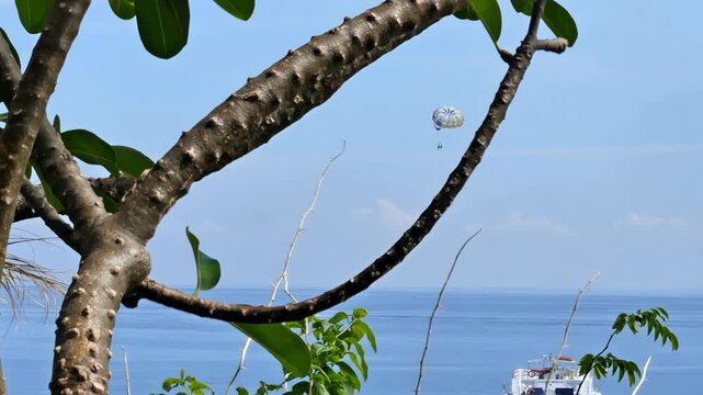A hotel guest at a resort in Lapulapu City, Cebu, Philippines, enjoys the thrill and fun of parasailing above the tranquil waters of Hilutungaan Channel, between Mactan Island and Olango Island.