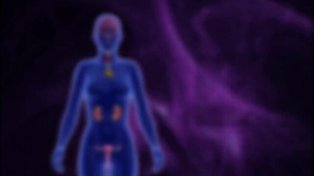 3D animation showing action of steroid hormones via nuclear receptors and gene activation.