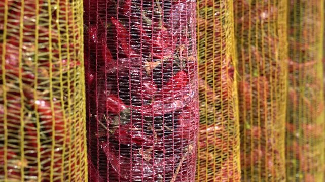 Chili pepper drying process in mesh bags for sale and distribution