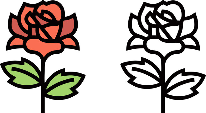 Red Rose Flower on Long Stem