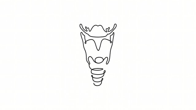 A detailed 4K anatomical line drawing of the human larynx, ideal for medical education, anatomy lessons, healthcare presentations, scientific visuals, and professional training materials.
