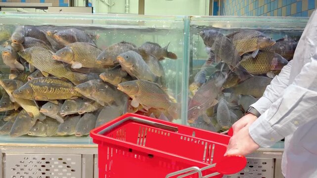 fresh fish  and seafood in supermarket