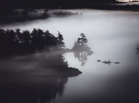 Mist swirls around pines trees on an island in a lake in Maine