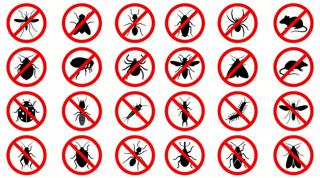 Pest control symbols with various insects and rodents no insects no pests bug spray rodent control bug repellent insect repellent warning sign danger sign pest infestation pest management