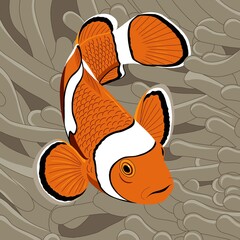 A fish is swimming around a coral reefs  © Juljak