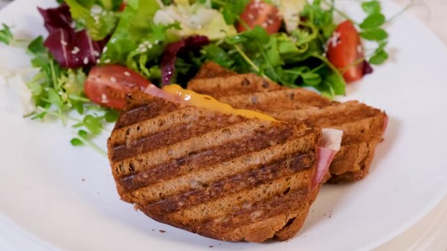 Delicious toasted sandwich with cheese and ham and salad rotation