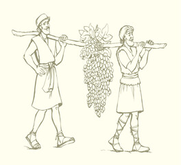 Fototapeta premium Vector drawing. Two men bear a grape.