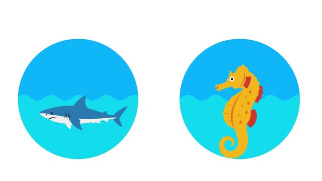 Shark And Seahorse World Ocean Day.World Ocean day Icon concept. Full length Icon animation illustration. High quality&nbsp;4k&nbsp;footage