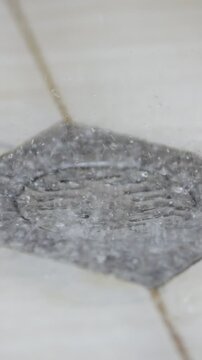 Closeup Of Shower Water Splashing Onto Tiles. Detailed Shot Of Water Droplets Hitting Bathroom Tiles And Grate. Highspeed Capture Of Water Splashing On Bathroom Surface With Soft Blurred Background