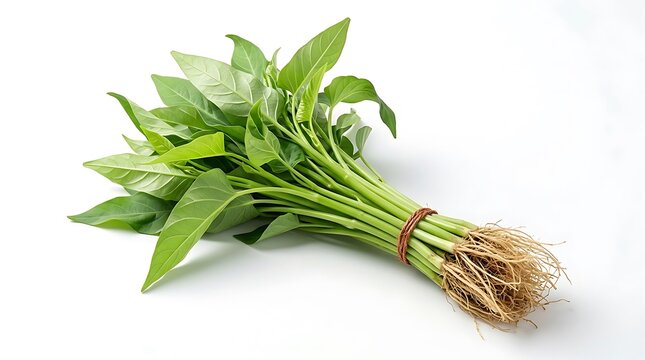 Kangkung Segar Terikat dengan Akar di Latar Belakang Putih
