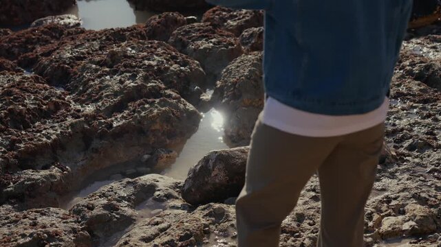 Person stands near tide pools on rocky shore. Sunlight reflects off shallow water in crevices. Natural coastal scene with textured rocks and wet sand. Ideal for outdoor adventure or exploration themes