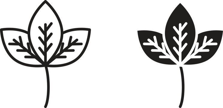 Basil icon collection. Minimal icon and symbol