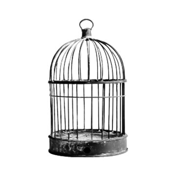 Empty bird cage isolated on white background, monochrome halftone illustration, concept of freedom, captivity, restriction and minimal design.
