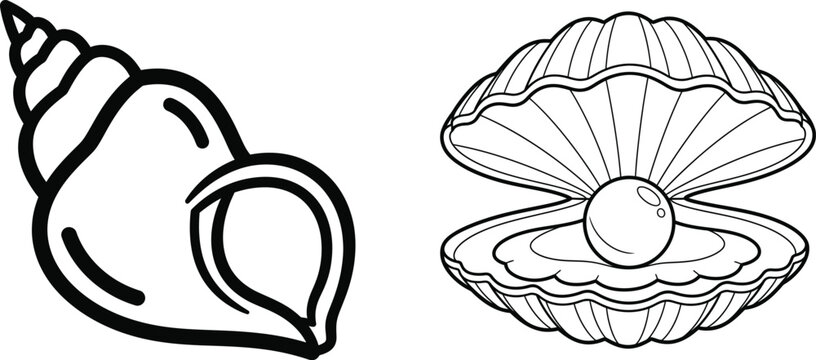 Two line art illustrations, one of a conch shell and another of an open oyster
