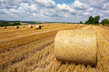 Rolnictwo. © Tomasz Warszewski