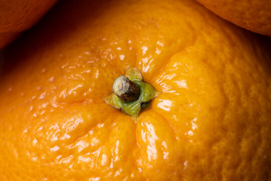 Macro close-up of an orange showing detailed texture. Fresh citrus fruit with natural light, ideal for food, nutrition and healthy lifestyle concepts.