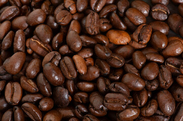 Fototapeta premium coffee beans in studio