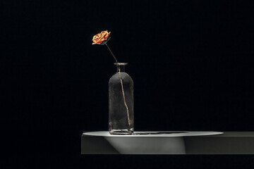 Small plastic bell-shaped plant with thin, flexible stems, placed in a frosted glass pot with decorative sand inside © Toyakisfoto.photos